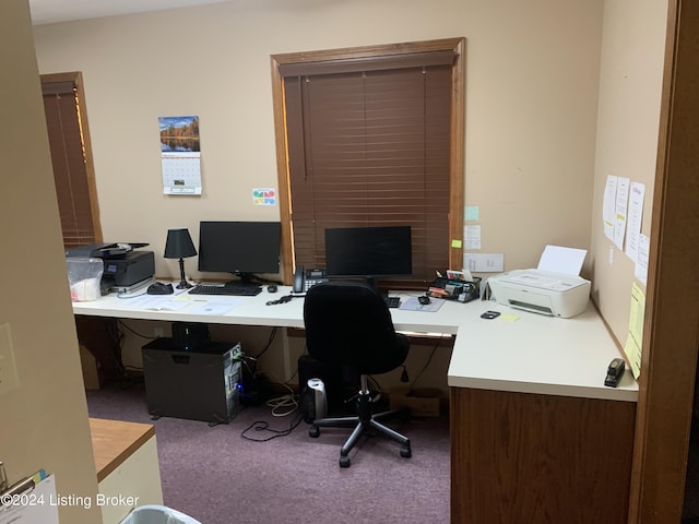 8910 Main St, Campbellsburg, KY 40011 - view of carpeted home office