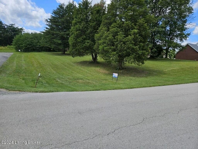 205 River Cliff Blvd, Brandenburg KY, 40108 land for sale