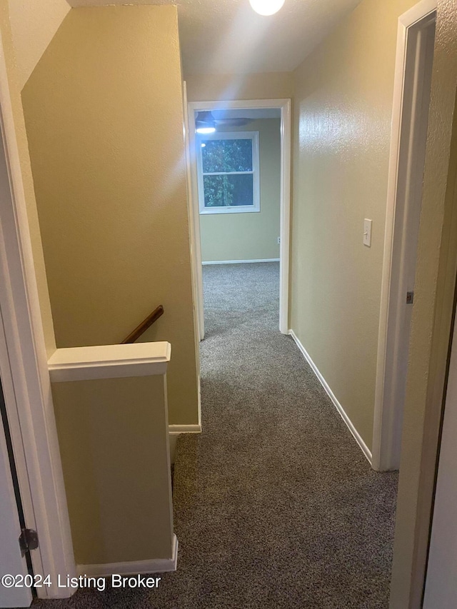 hall featuring carpet floors