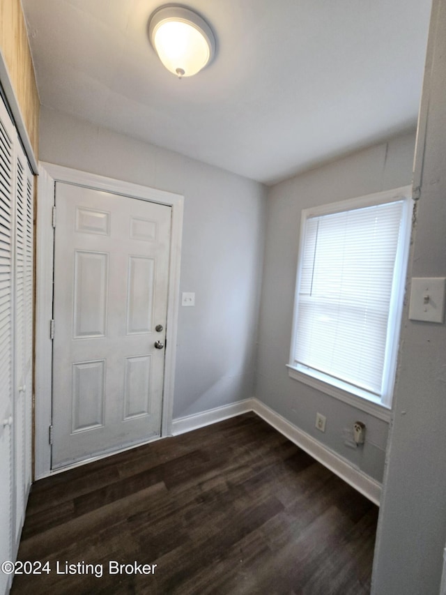 entryway featuring dark wood-type flooring