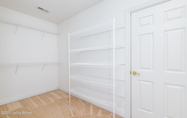 walk in closet with carpet floors