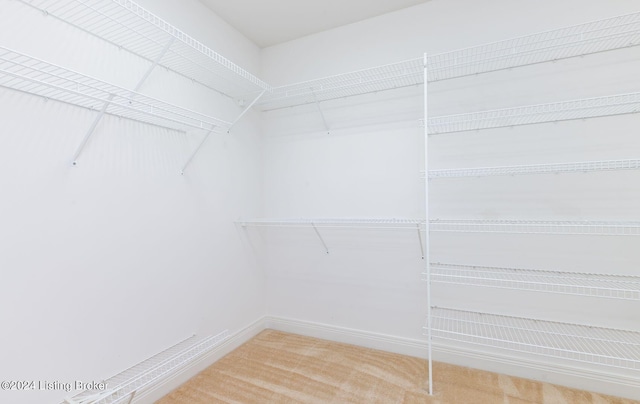 walk in closet featuring carpet flooring