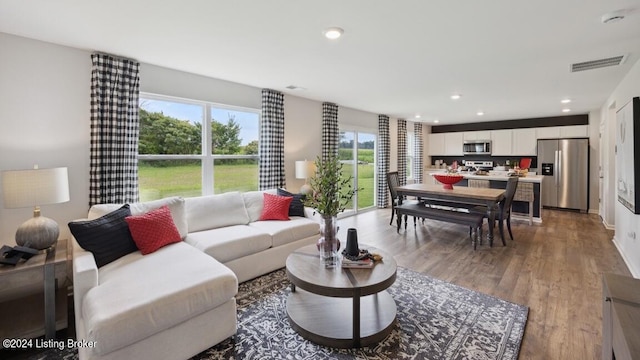 living room featuring wood-type flooring