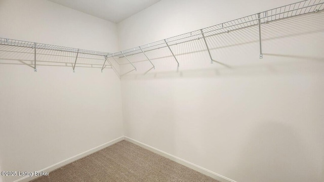 spacious closet featuring light colored carpet