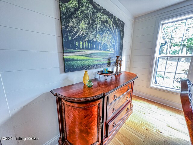 interior details featuring wood-type flooring and wood walls