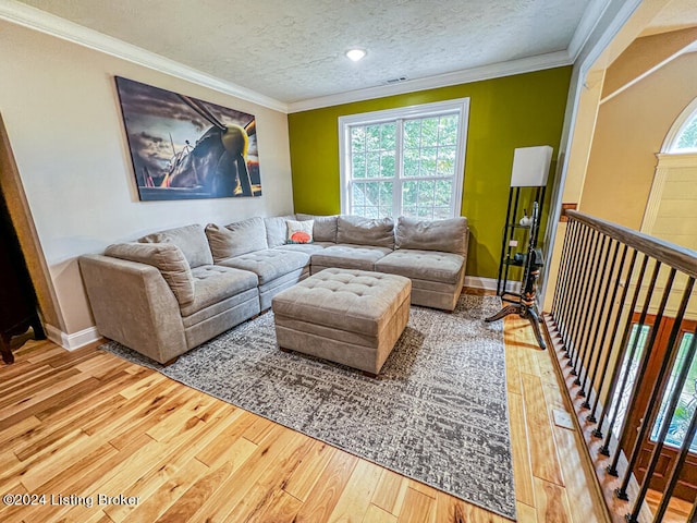 living room with wood-type flooring, a textured ceiling, plenty of natural light, and ornamental molding