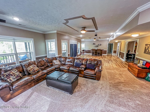 living room with a textured ceiling, ornamental molding, and carpet