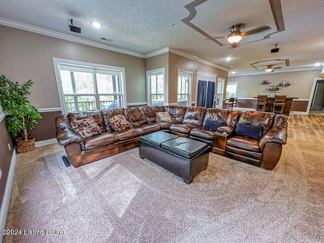 living room with ceiling fan, a textured ceiling, ornamental molding, and carpet