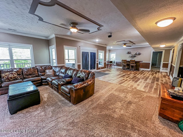 living room featuring ornamental molding, a textured ceiling, hardwood / wood-style floors, and a healthy amount of sunlight