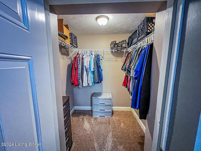 walk in closet featuring carpet flooring