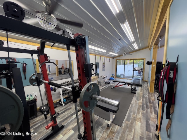 workout area featuring lofted ceiling, ceiling fan, and hardwood / wood-style flooring