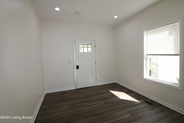 foyer with dark wood-type flooring