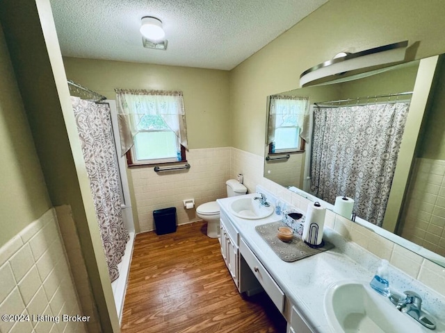 bathroom with vanity, tile walls, toilet, and a healthy amount of sunlight