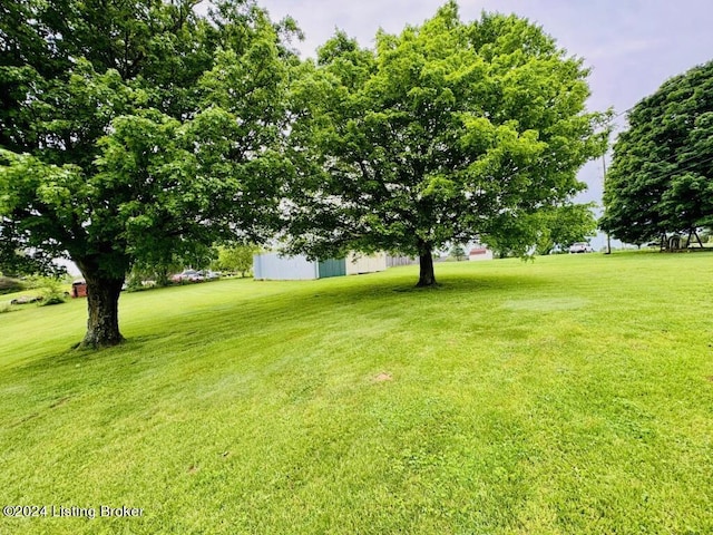 2002 Bardstown Rd, Springfield, KY 40069 - photo 14