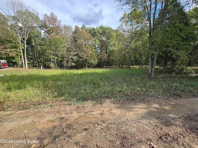 0 Fox Cliff Rd, Leitchfield KY, 42754 land for sale