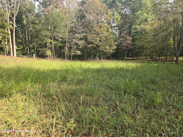 Listing photo 2 for 0 Fox Cliff Rd, Leitchfield KY 42754