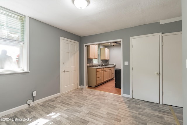 interior space featuring light hardwood / wood-style flooring, a textured ceiling, ceiling fan, and sink