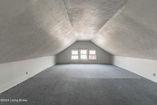 additional living space with a textured ceiling, carpet, and lofted ceiling