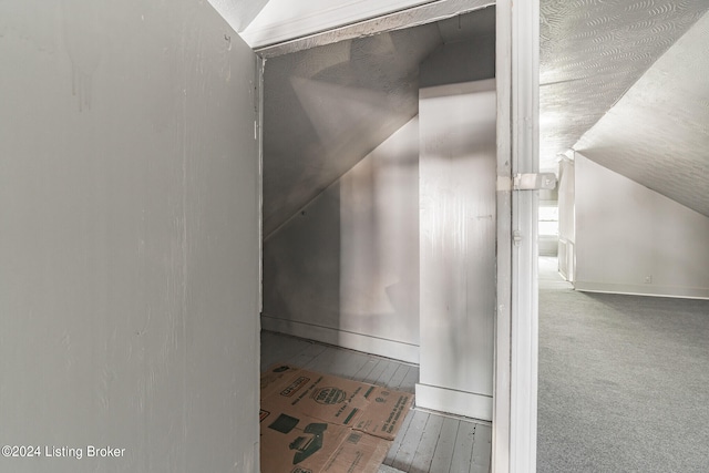 room details featuring a textured ceiling and carpet flooring