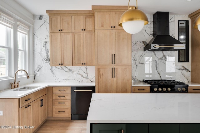 kitchen featuring exhaust hood, light hardwood / wood-style flooring, plenty of natural light, and sink