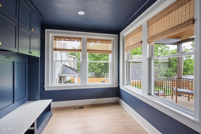 mudroom featuring light hardwood / wood-style floors and a wealth of natural light