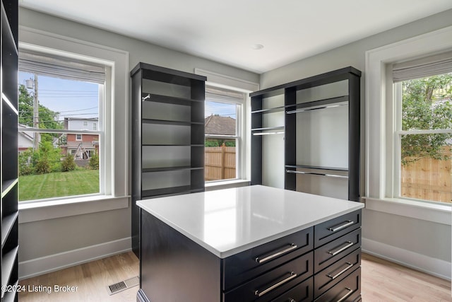 spacious closet with light wood-type flooring