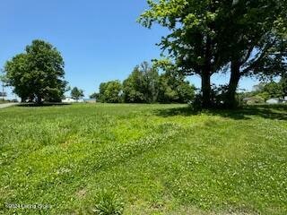 601 Magnolia St, Tompkinsville, KY 42167 - photo 8
