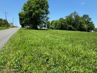 601 Magnolia St, Tompkinsville, KY 42167 - photo 10