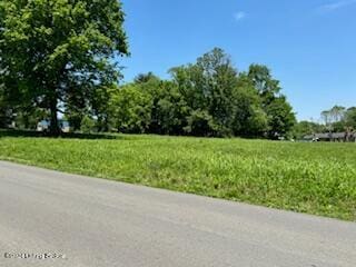 601 Magnolia St, Tompkinsville, KY 42167 - photo 13
