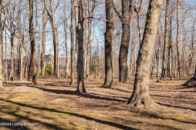 view of landscape