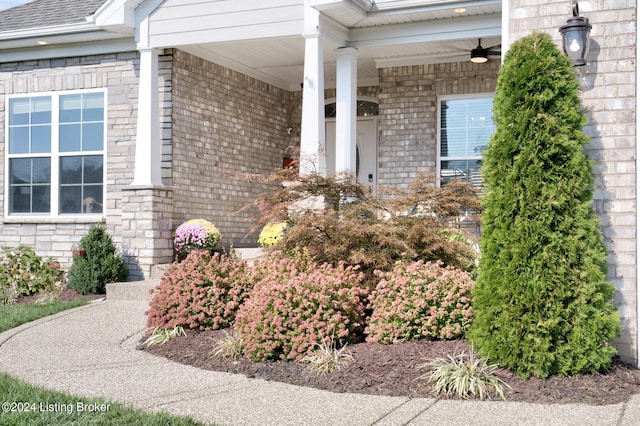 property entrance with ceiling fan