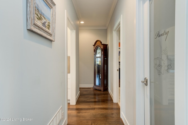 corridor featuring dark hardwood / wood-style floors