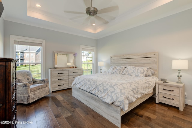 bedroom featuring a tray ceiling, ceiling fan, dark wood-type flooring, and ornamental molding