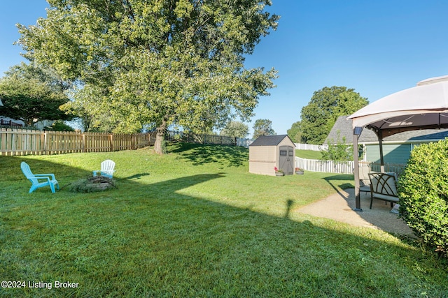 view of yard with a shed