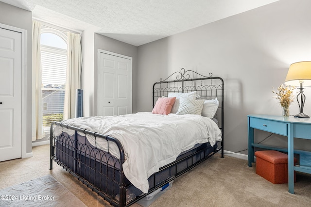 bedroom with a closet, multiple windows, carpet flooring, and a textured ceiling