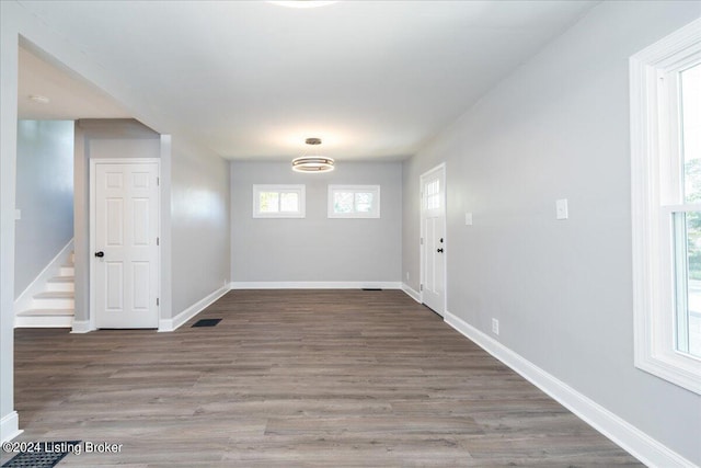 interior space featuring plenty of natural light and wood-type flooring