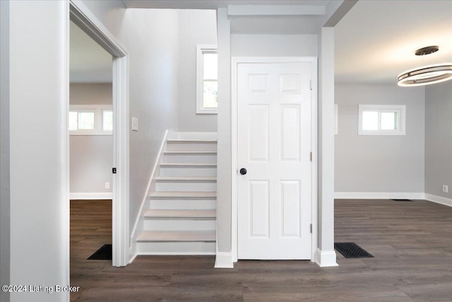 staircase featuring hardwood / wood-style floors and plenty of natural light