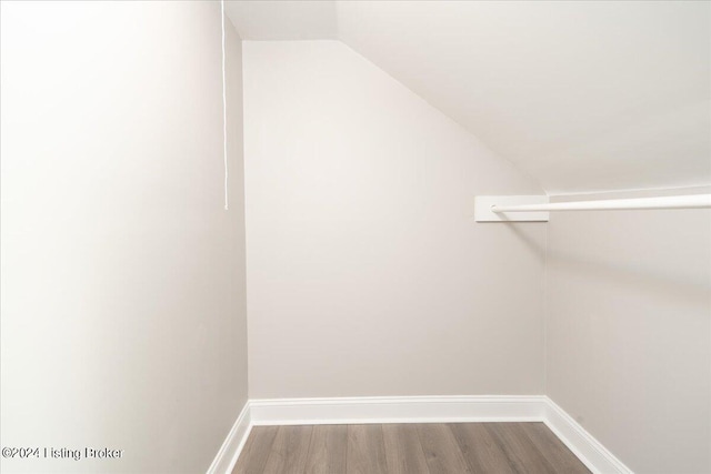 walk in closet with lofted ceiling and wood-type flooring