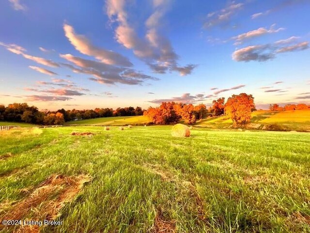 896 Cooper Ln, Simpsonville, KY 40067 - photo 4