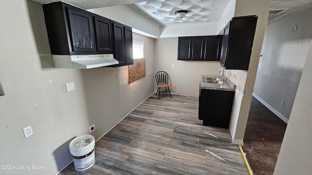 kitchen with sink and dark hardwood / wood-style floors