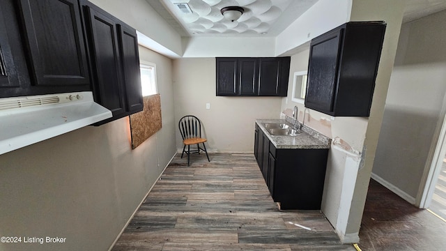 kitchen featuring sink and dark wood-type flooring