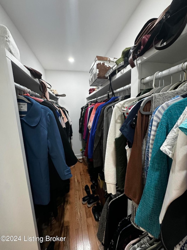 spacious closet featuring dark hardwood / wood-style flooring