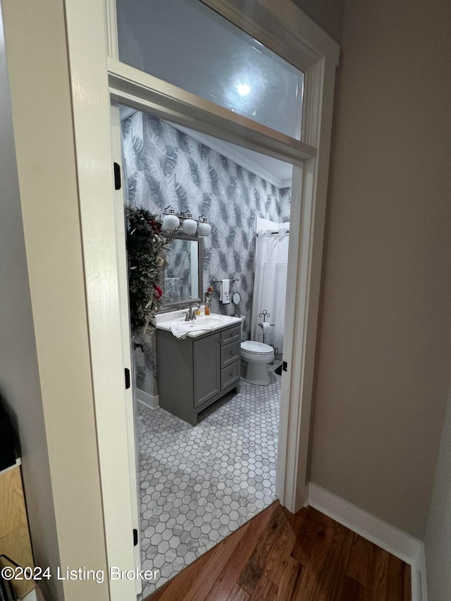 bathroom featuring vanity, walk in shower, toilet, and wood-type flooring