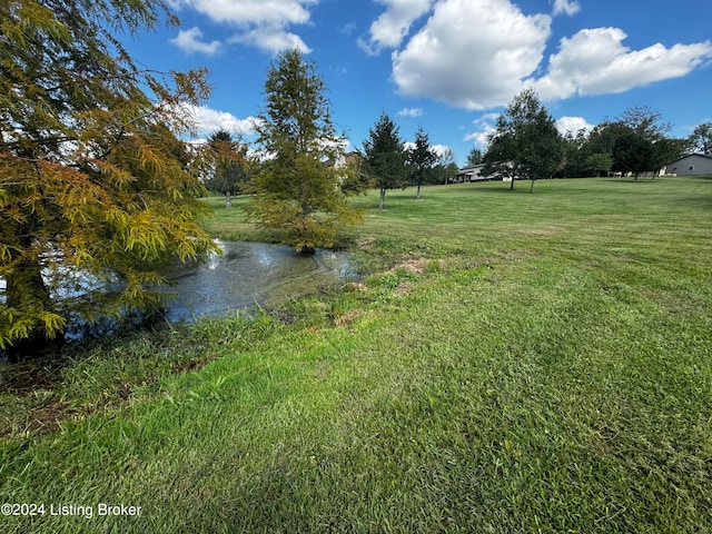 view of yard with a water view