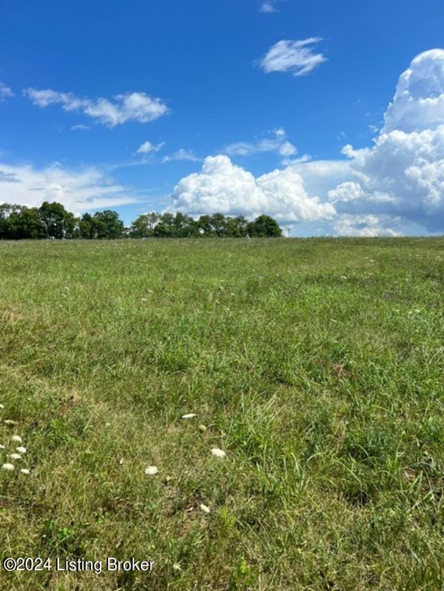 TRK2 Bohannon Rd, Pleasureville KY, 40057 land for sale