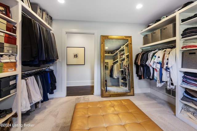 spacious closet featuring carpet flooring