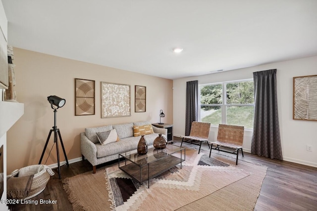 living room with hardwood / wood-style floors