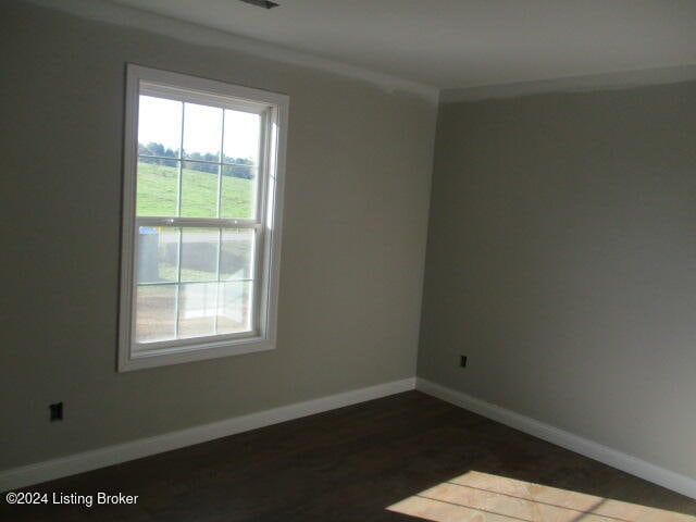 spare room featuring dark wood-type flooring