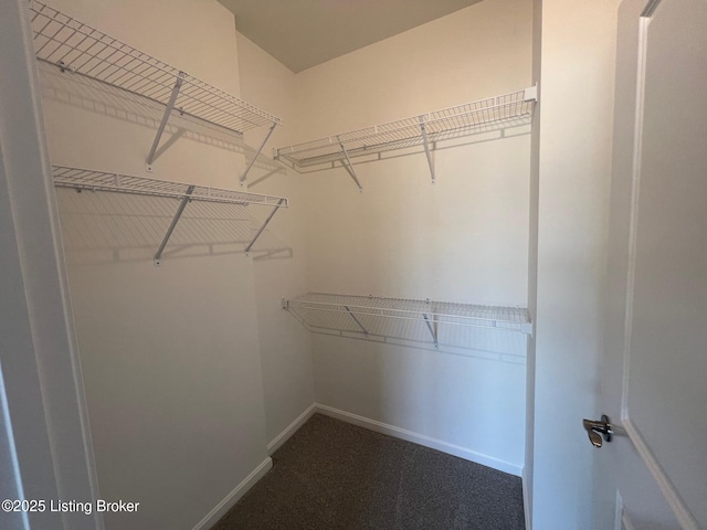 LOT13 Deer Vista Dr, Louisville, KY 40291 - walk in closet with dark carpet