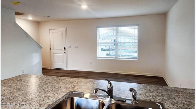 kitchen featuring wood finished floors and a sink